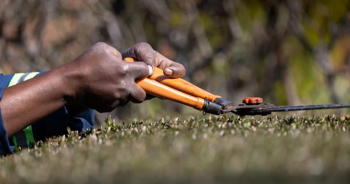 Mãos podando uma cerca viva com tesoura de poda laranja