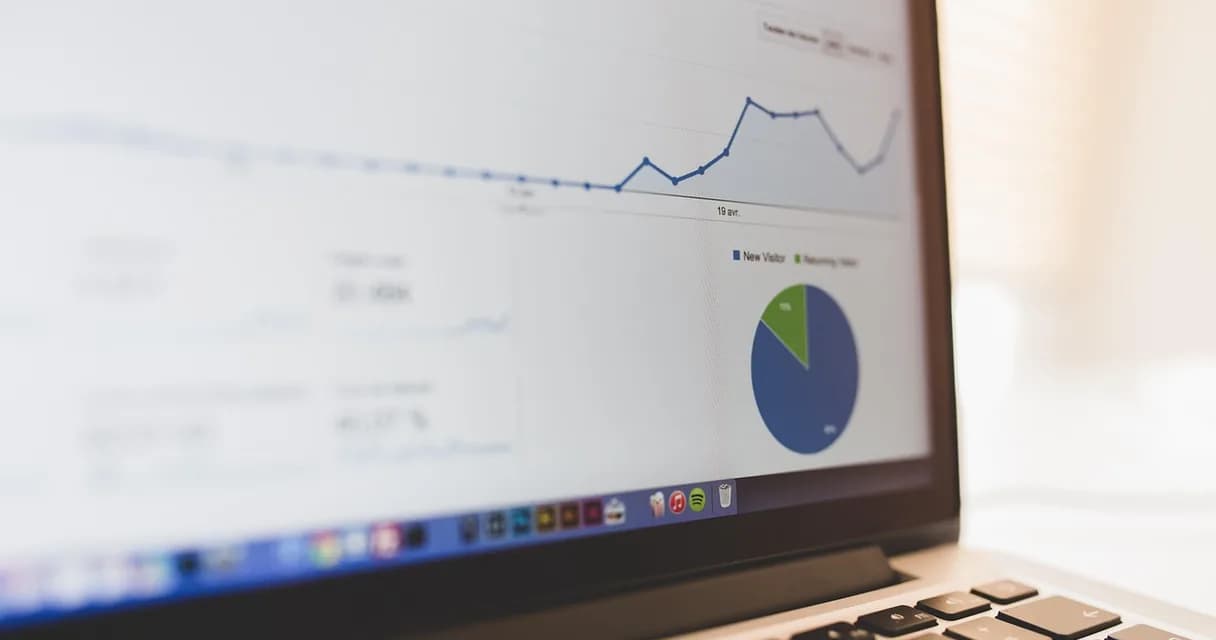 Notebook exibindo gráfico de linha e gráfico de pizza de visitantes