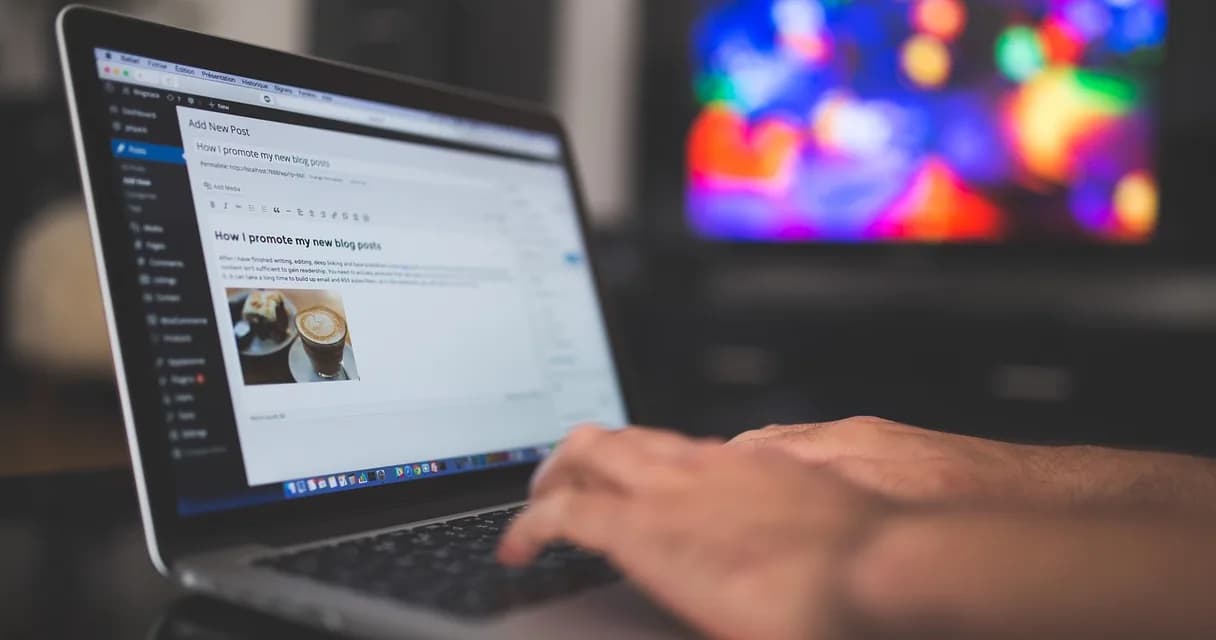 Pessoa revisando uma matéria no editor de um site antes de aprovar a publicação